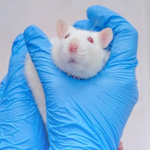 Prévention des allergies aux animaux de laboratoire