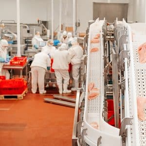 Le travail en abattoir de volaille expose le personnel à des risques biologiques significatifs